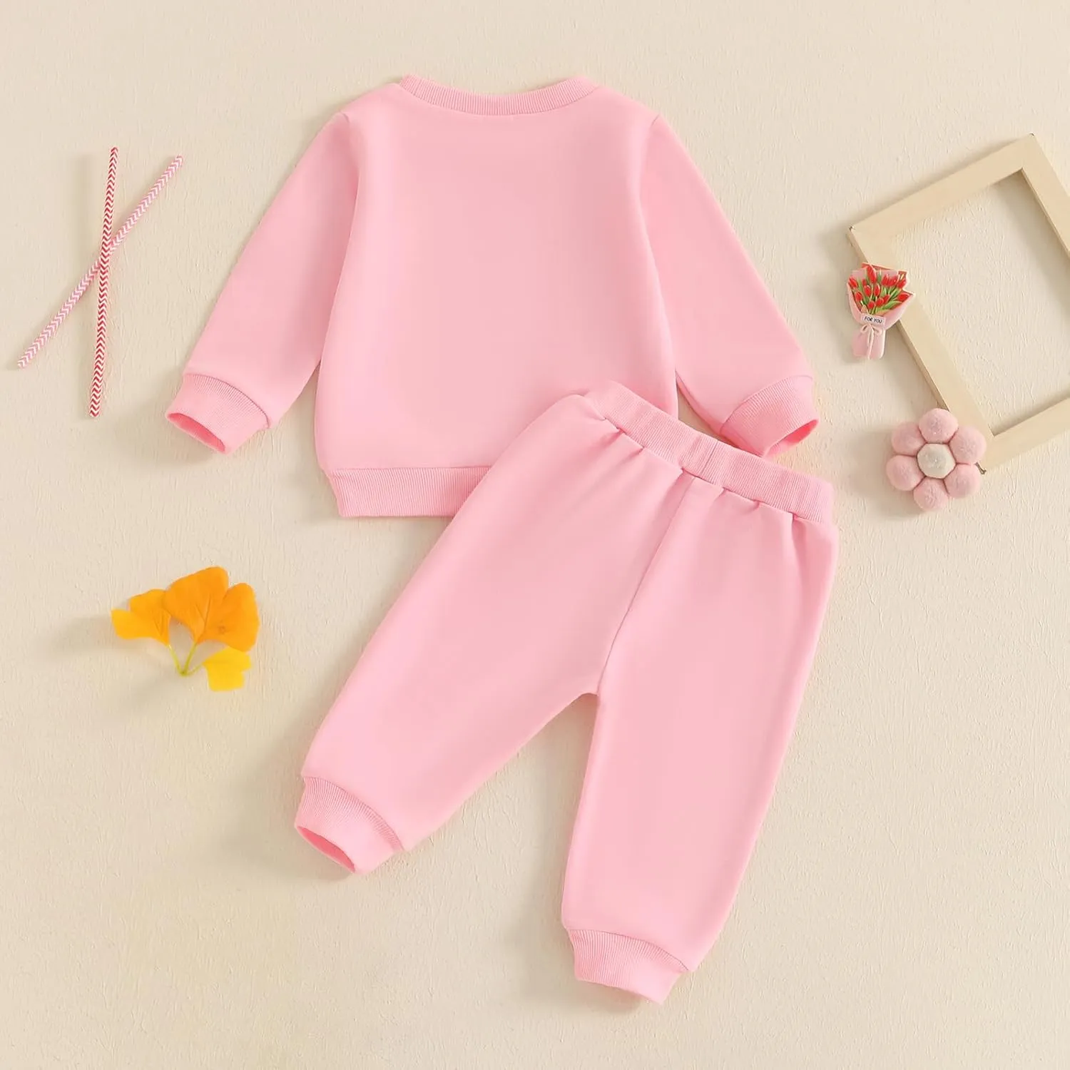 SAYOO Baby Birthday Girl Outfit Embroidery Birthday Girl Print Sweatshirt Pullover Sweatpants Princess 2Pcs Fall Clothes