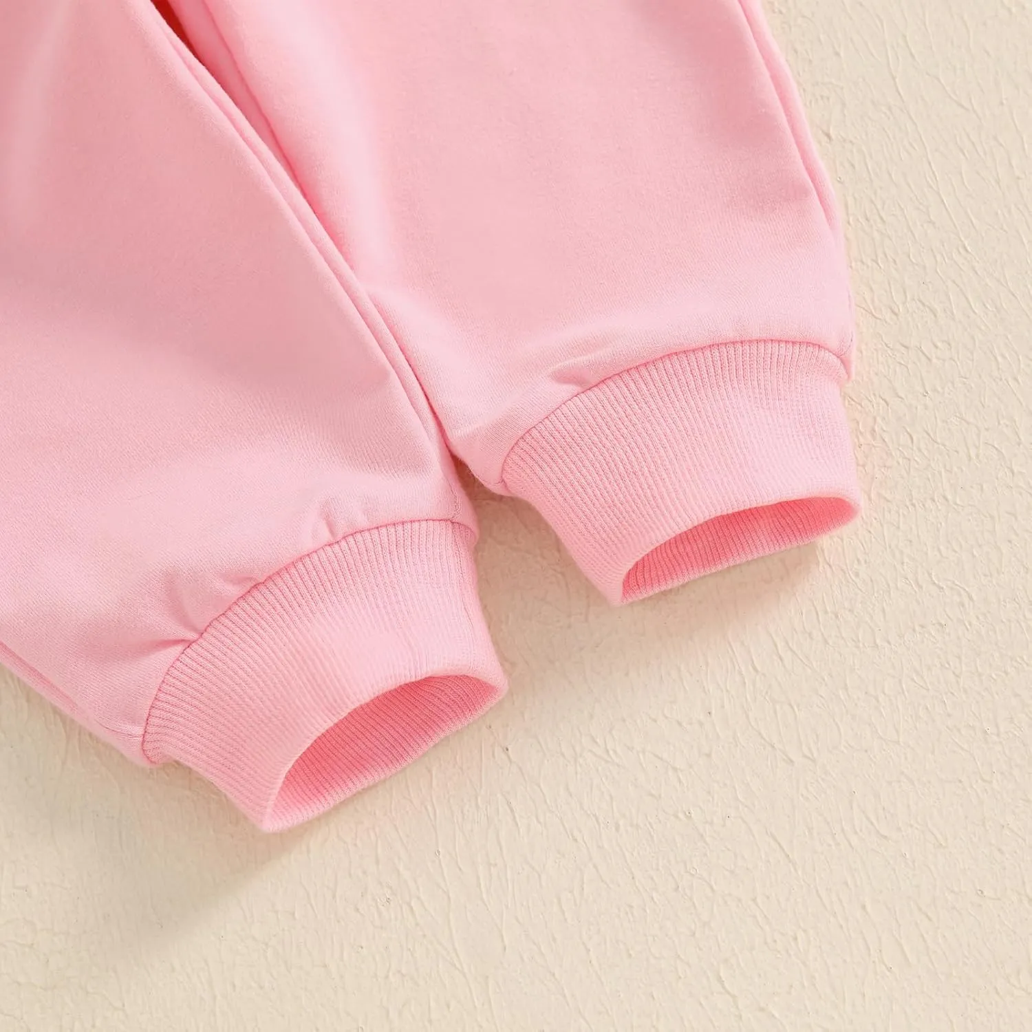 SAYOO Baby Birthday Girl Outfit Embroidery Birthday Girl Print Sweatshirt Pullover Sweatpants Princess 2Pcs Fall Clothes